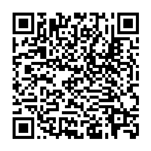 根本无法符合他们对第三张专辑的期待……争吵开始之后就一发不可收拾二维码生成