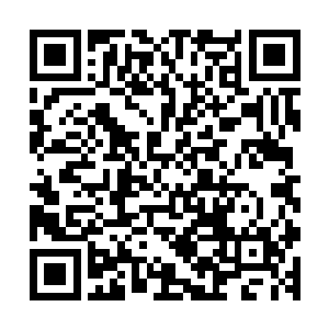 根本无法置身事外啊……那些一二线宗门的强者们来到枫林城二维码生成