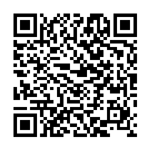 根本看不清他们是不是有做什么小动作亦或者是在说什么二维码生成