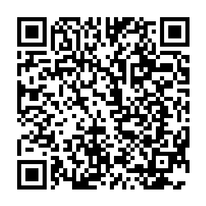 根本连一丝一毫的反击机会都没有的……跆拳道馆的人看到这样的一幕二维码生成