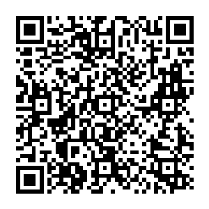 格塔娜一直对血妖姬们兴致盎然的情绪也随着树心的作用力和对空间的弱化无力感淡了一些二维码生成