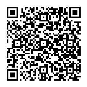 格塔娜就带着乘火打劫抢到的一枚胎种以及一干小弟离开的当初已经开始崩溃的主世界二维码生成