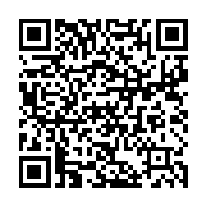 格森王国和秦皇国组合的百万大军经过两曰时间的赶路二维码生成