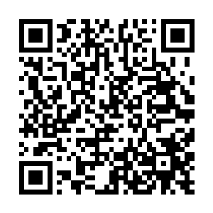 桀桀桀桀……没想到小娃娃你竟然知道本尊者的名号二维码生成
