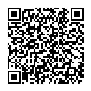 桌子上放着一壶酒两个白玉无瑕的酒杯和几样看起来色香味俱全十分精致的小菜二维码生成