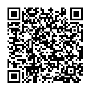 桑巴国的女王和王爵遭到了潜藏在保镖队伍里的分裂分子的袭击绑架二维码生成