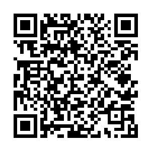 桑秘书见卢晚琦几乎魔怔了便扯了扯还在滔滔不绝的王秘书二维码生成