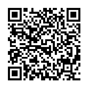 梁书记你也可以征求一下戚书记和詹书记以及虞书记的意见二维码生成