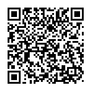 梁萌萌和西欢儿两人时不时的看着宴维……都想欣赏宴维的狼狈模样二维码生成