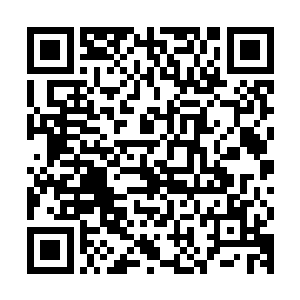 梁萌萌就算在面对凌冽甚至任何男人的调戏的时候都能淡定自若二维码生成