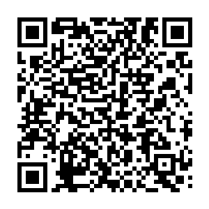 梁锐看着警惕的盯着自己一行人的罗妈妈方妈妈芍药和江明江远几个下人二维码生成