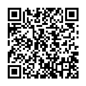 梅德安只能算是中医协会在洪里市的分部管理人而已二维码生成