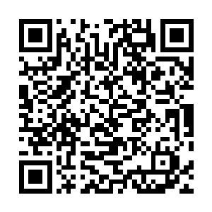 梅斯菲尔德商会的没落和伊丽莎白商会有千丝万缕的关系二维码生成