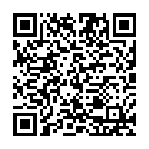 梅花九数体质的优越感在看到秦宇的不死之身之后便是没了二维码生成