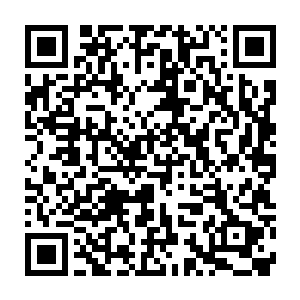梅里万――塞斯内特集团代表团的成员第一眼看到的是一个大胖子二维码生成