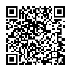 梆梆梆……沉重的敲门声让脆弱的雕花木门发出痛苦的呻吟声吗二维码生成