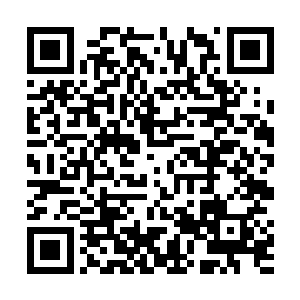 梓城是市里确定了的已发展现代农业为主业的重要基地二维码生成