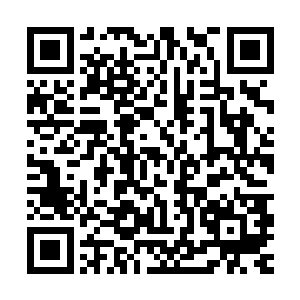 梓箐一点也不用考虑自己离开后这个世界会不会变回原来的样子二维码生成