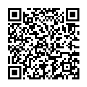 梓箐也记不起自己从什么时候开始已经习惯没有这样的日子了二维码生成