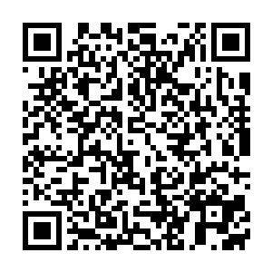 梓箐从原主第一世的记忆中知道她在郎家的生活真的比秦瑶悲惨多了二维码生成