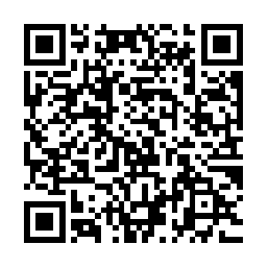 梓箐其实每次任务后都会将剧情中的人和事全部从识海中清除掉二维码生成