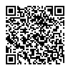 梓箐可以看到原主其实对自己的人生一直都没有任何不满或者想要改变什么的二维码生成