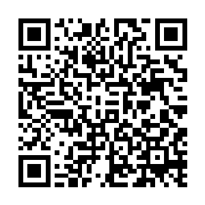 梓箐哪里会让她得逞……其实尖利指甲抓挠一下最多破皮二维码生成