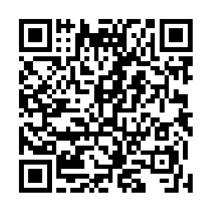 梓箐在他眼睛里看不到任何作为人的对生命的怜悯和温度二维码生成