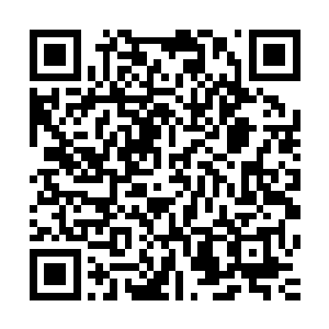 梓箐在所有的整合过程中从没有宣传过自己基地如何如何的好二维码生成