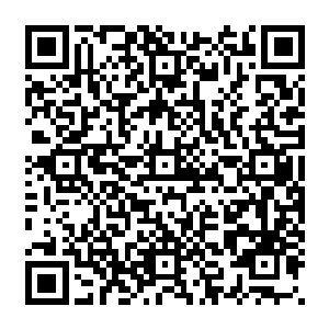 梓箐将殉葬坑里的所有枯骨以及那个处死所有参与修建皇陵的匠人们的尸骨全部收起来二维码生成