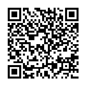 梓箐是因为修炼仙术才可以将能量转换成自己能修炼的存在二维码生成