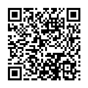 梓箐此时是轻车熟路就将这些记忆碎片完全梳理了出来……二维码生成