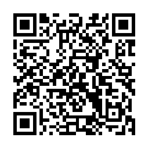 梓箐每经过一个房间就会在识海中记录下自己的行进路线二维码生成