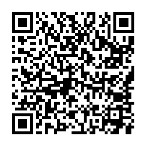 梓箐现在所有的记忆只是才刚刚拼凑起来的过去十来年的生活过往二维码生成