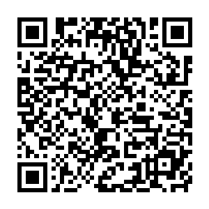 梓箐用强制手腕在这个荒凉而颓废的土地上修建起了一座座的房子二维码生成