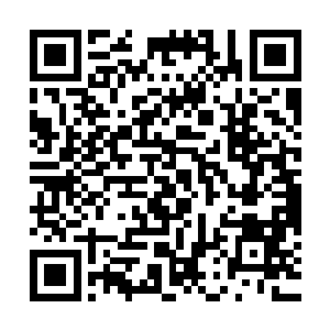梓箐看着地上正在慢慢组合一起的数据团…慢慢显示出一个人形二维码生成