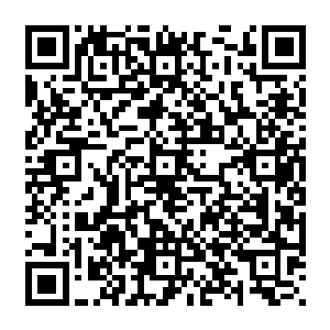 梓箐第一次走出自己的房子……不是以前那种直接任务世界和主神空间两点一线的生活二维码生成