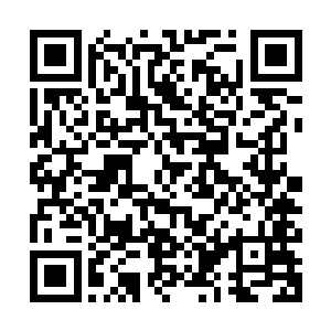 梓箐终于知道为什么在自己之前的玩家都没能完美完成这次任务二维码生成