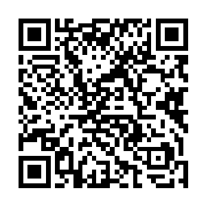 梓箐终于赶在原主意念完全消失之前将这些碎片整理起来二维码生成