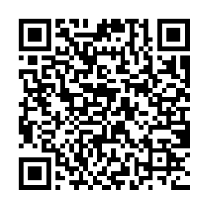 梓箐视线轻轻扫过殷琏瞪大的充满了怨毒之情的面孔二维码生成