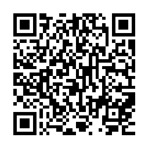 梓箐银质的拳套如同巨大的钳子一样扣住他们惨白纤细的脖子二维码生成