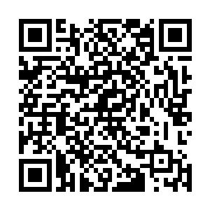 梦星缘此时已经看到了竹简上的特色项目和过往的收费标准二维码生成