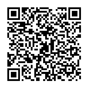梨园村几乎所有的梨都被几个大的水果批发商和果汁制造商包销了二维码生成
