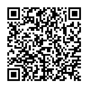 梨园村现在已经是形成了种植规模的万亩梨园和几千亩的蓝莓基地二维码生成