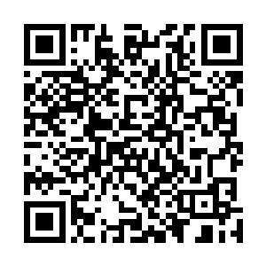 楚三和林四简直无语……他们对苏落简直佩服的五体投地二维码生成