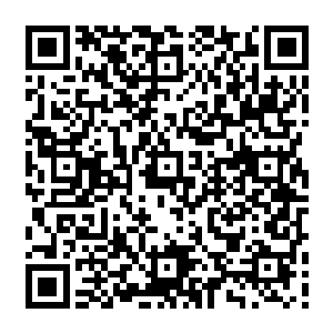 楚仲秦获得了无可争议的第一名――那五千观众每人发了一部价值八百元的高级手机二维码生成