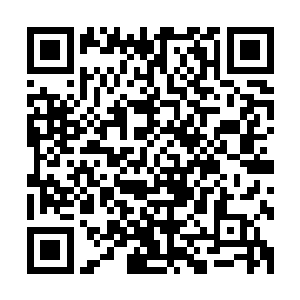 楚公子该不会打算拿在我清风明月楼赢得钱来付天一阁的帐吧二维码生成