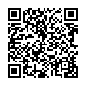 楚国和文界其他国家的读书人发了许多传书邀请他参与文会二维码生成