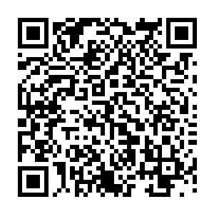 楚旬也将那第二世界里面的异形生物和异形人都迁徙到了第二世界的一角二维码生成