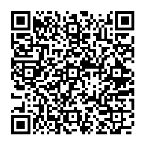 楚旬便看到前方湿地雨林那茂密而又高达的大树就好像是被什么开路机给狠狠撞倒二维码生成